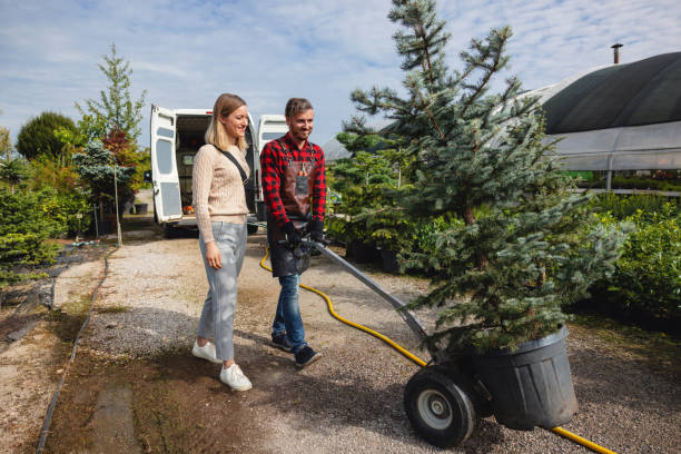 Reliable Powers Lake, WI Tree Services Solutions